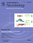 Cover of the Journal: Current Opinion in Neurobiology