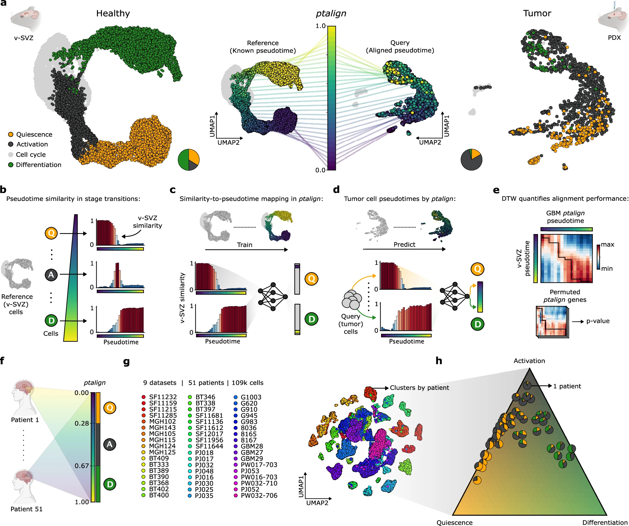 Cell: Graphical Abstract